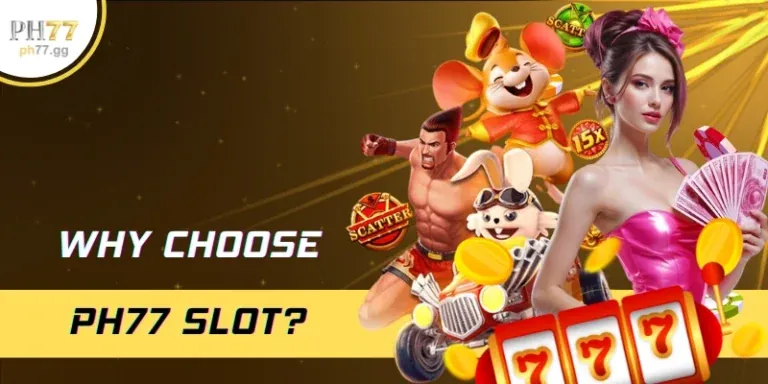 Hướng dẫn cho người mới bắt đầu
